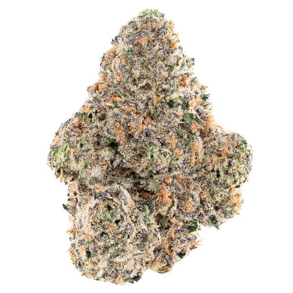 ZA - Wizard of ZA Ruby Slippers Flower 7g