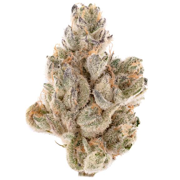 CANNABIOTIX - Gluetopia Flower 14g