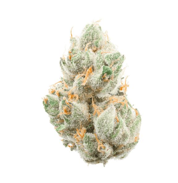 CANNABIOTIX - GM-uhOh Flower 3.5g