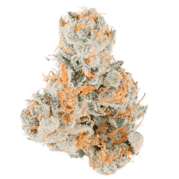 TEAM ELITE - Nova Cane Flower 3.5g