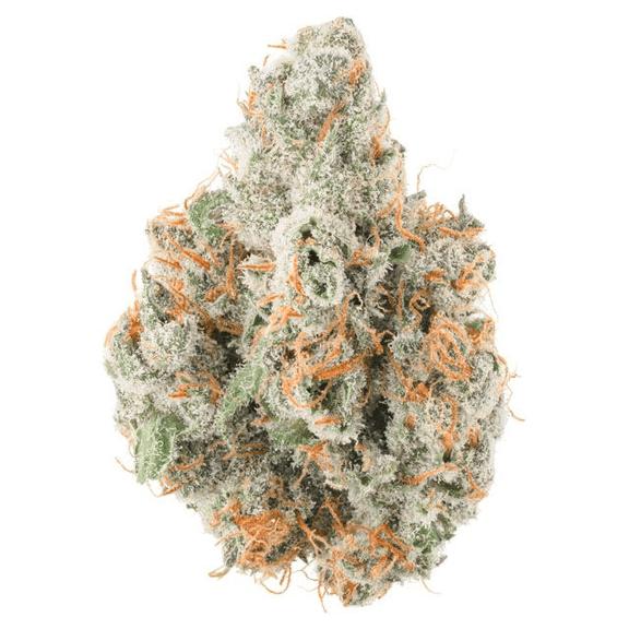 SEVEN LEAVES - Jupiter Jack Flower 5g