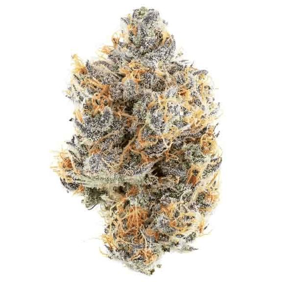 TEAM ELITE - Peach Ozz Flower 3.5g