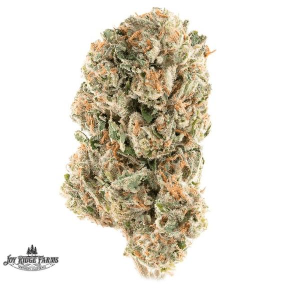 JOY RIDGE FARMS - Gelato #41 Flower 14g
