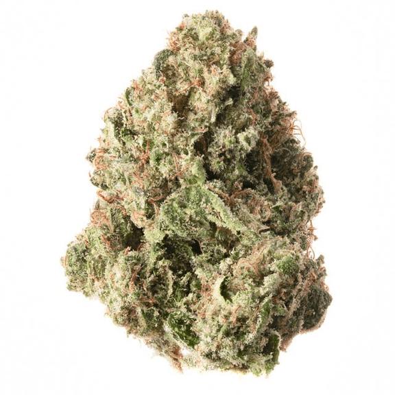 JOY RIDGE FARMS - Key Lime Jack Flower 14g