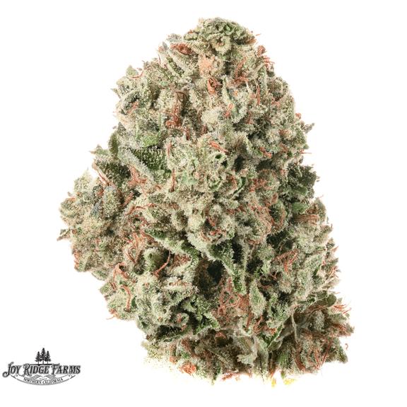 JOY RIDGE FARMS - Ice Cream Cake Flower 28g