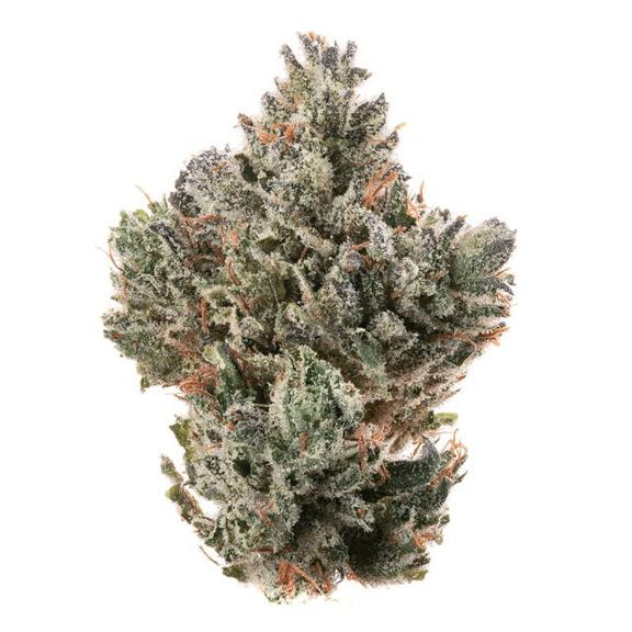 CANNABIOTIX - 98 Octane Flower 3.5g