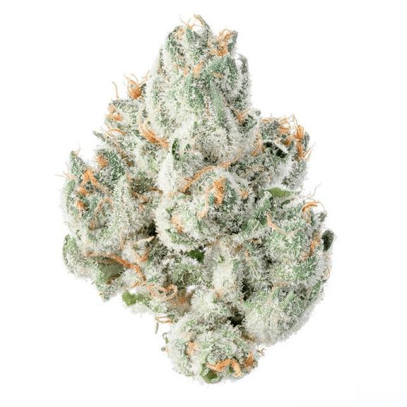 CANNABIOTIX - Grand Master Flower 3.5g