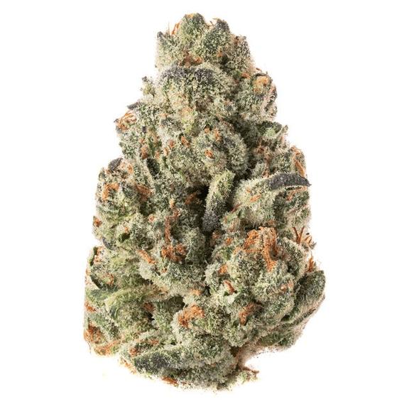HYPE TRAIN - Mimosified Grapes Flower 28g