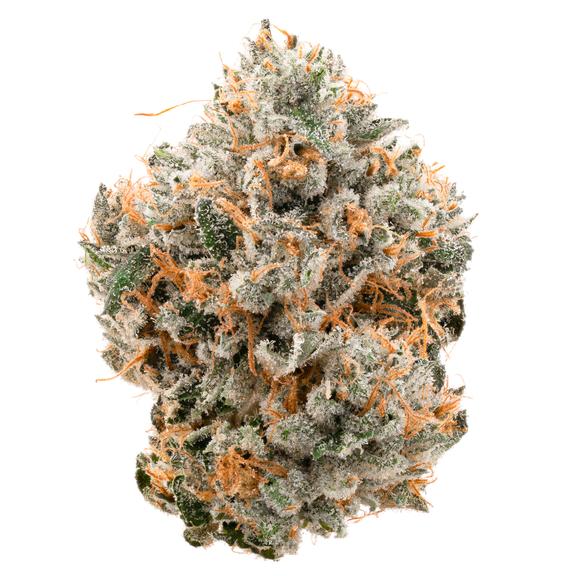 CANNABIOTIX - Kush Mountains Flower 14g