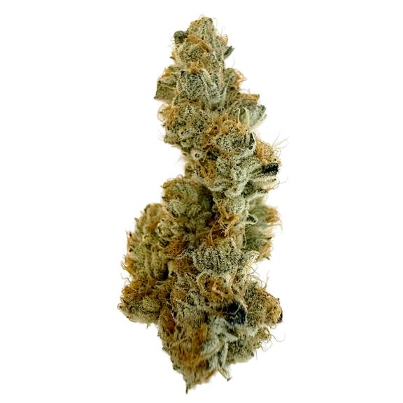 CANNABIOTIX - Cakewalk Flower 3.5g