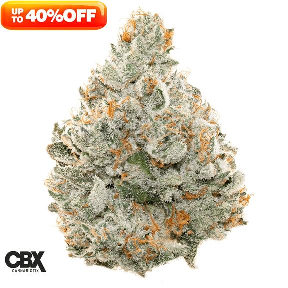 CANNABIOTIX - Cereal Milk Flower 14g