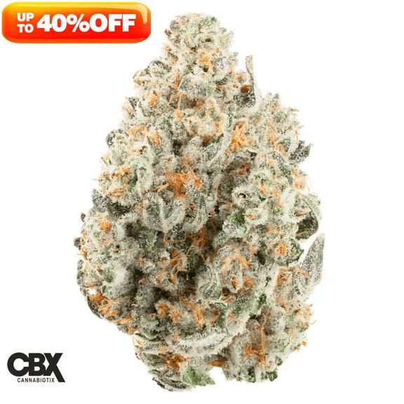 CANNABIOTIX - Mount Zereal Kush Flower 14g