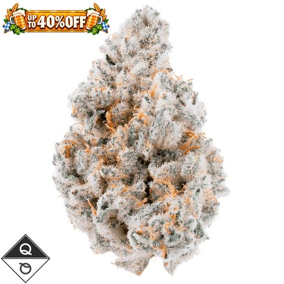 QUALITY OVER QUANTITY - Apple Sherbert Flower 3.5g
