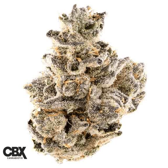 CANNABIOTIX - Blue Flame OG Flower 3.5g