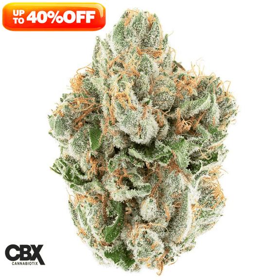 CANNABIOTIX - Red Eye OG Flower 3.5g