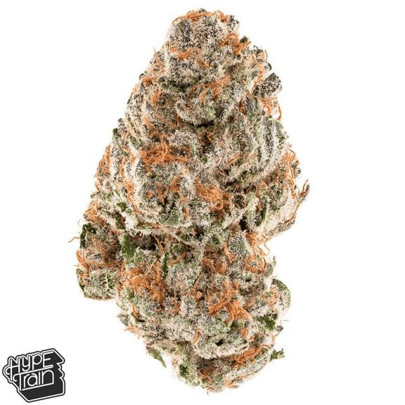 HYPE TRAIN - Caramel Apple Gelato Flower 3.5g