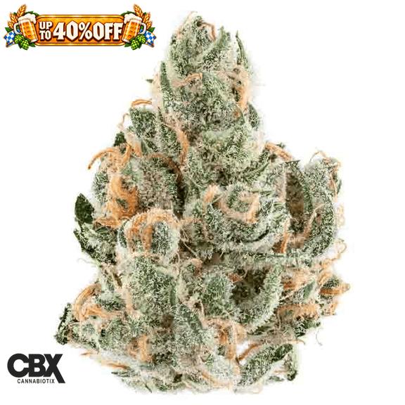 CANNABIOTIX - Tropical Heat Flower 3.5g