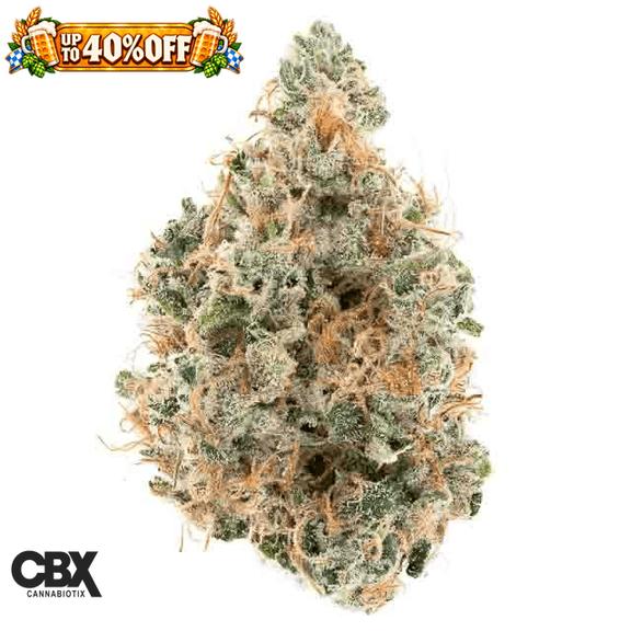 CANNABIOTIX - Tropical Lemonade Flower 3.5g