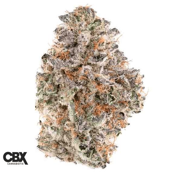 CANNABIOTIX - Kush Milk Flower 3.5g