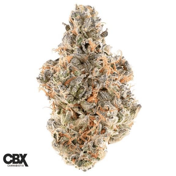CANNABIOTIX - The Silk Flower 3.5g