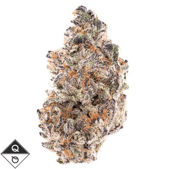 QUALITY OVER QUANTITY - Raspberry Gelato Flower 14g