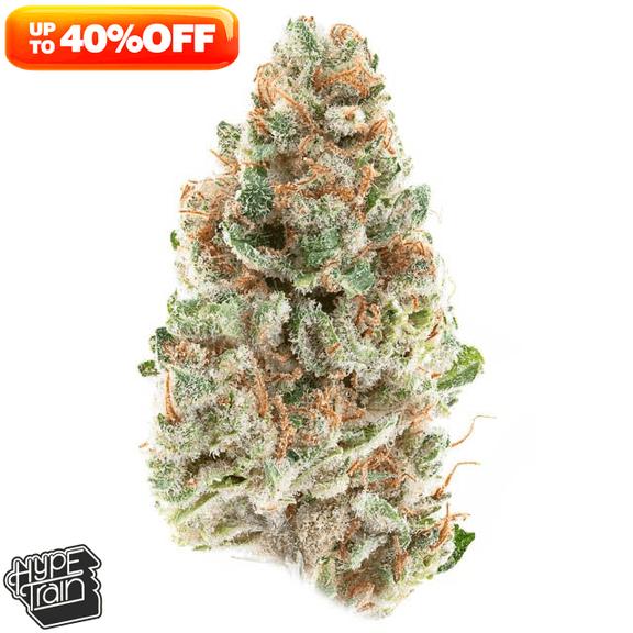 HYPE TRAIN - Pineapple Breeze Flower 3.5g