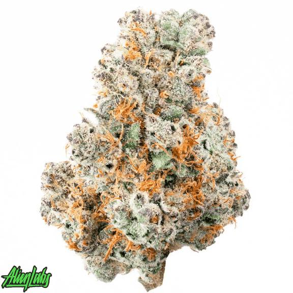 ALIEN LABS - Planet Red Flower 3.5g