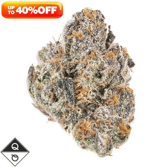 QUALITY OVER QUANTITY - Watermelon Martini Flower 3.5g
