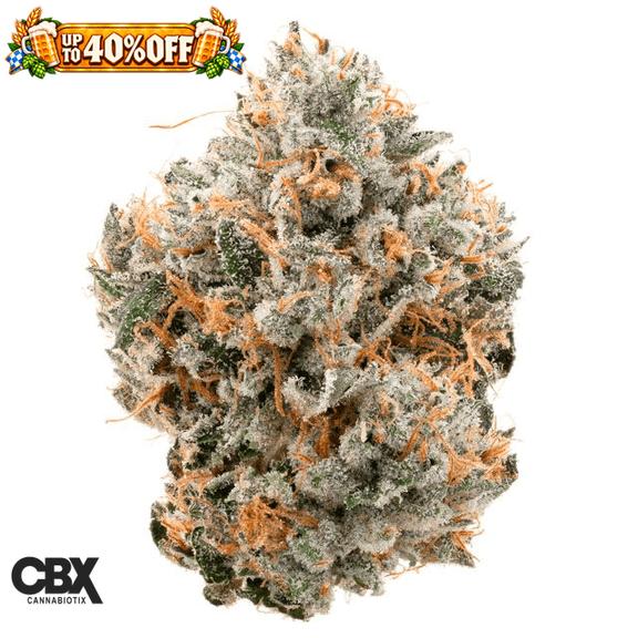 CANNABIOTIX - Kush Mountains Flower 3.5g