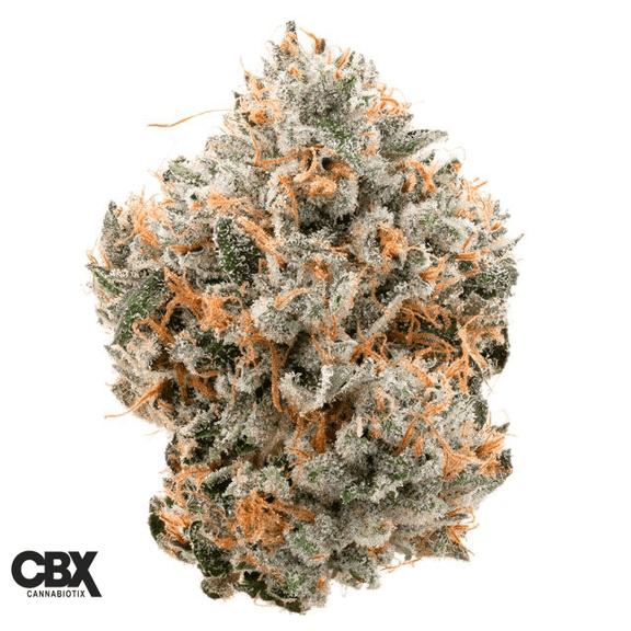 CANNABIOTIX - Kush Mountains Flower 3.5g