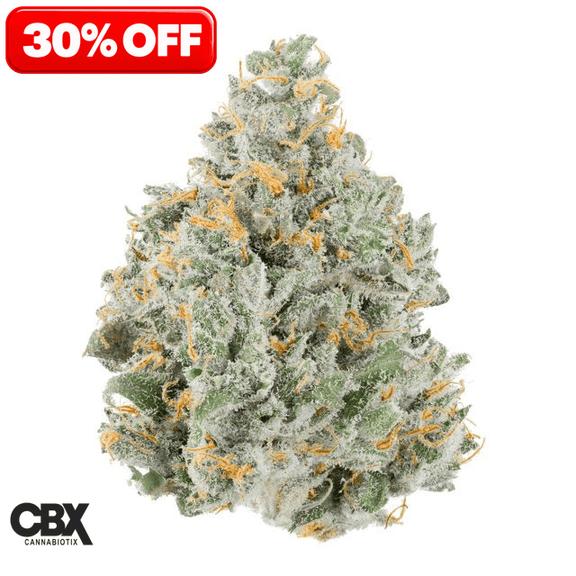CANNABIOTIX - Strawberry Lemonade Flower 3.5g
