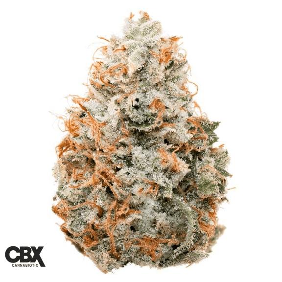 CANNABIOTIX - Tropicanna Flower 3.5g