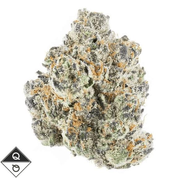 QUALITY OVER QUANTITY - Cherry Burst Flower 3.5g