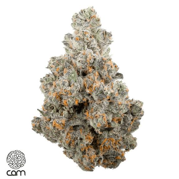CAM - Apple Pie Flower 3.5g