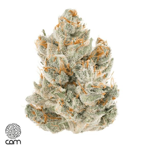 CAM - Courts Kush Flower 3.5g