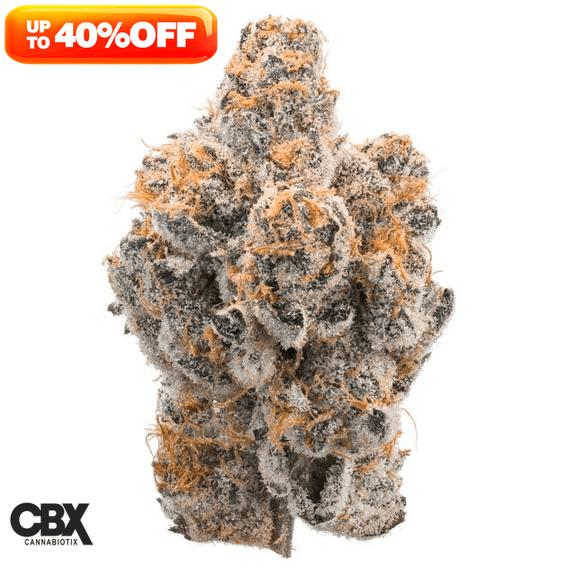 CANNABIOTIX - Thicc Mint Cookies Flower 3.5g