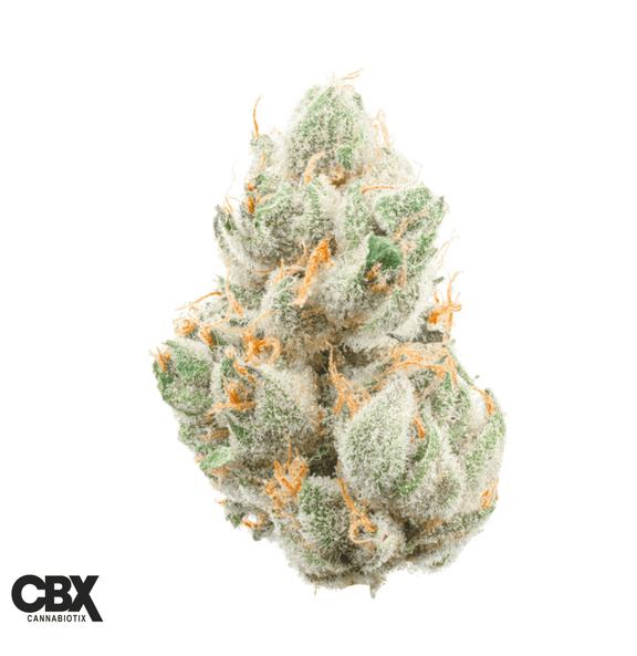 CANNABIOTIX - GM-uhOh Flower 3.5g