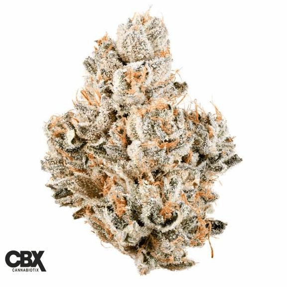 CANNABIOTIX - White Walker OG Flower 3.5g