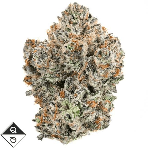 QUALITY OVER QUANTITY - Jammerz Flower 3.5g