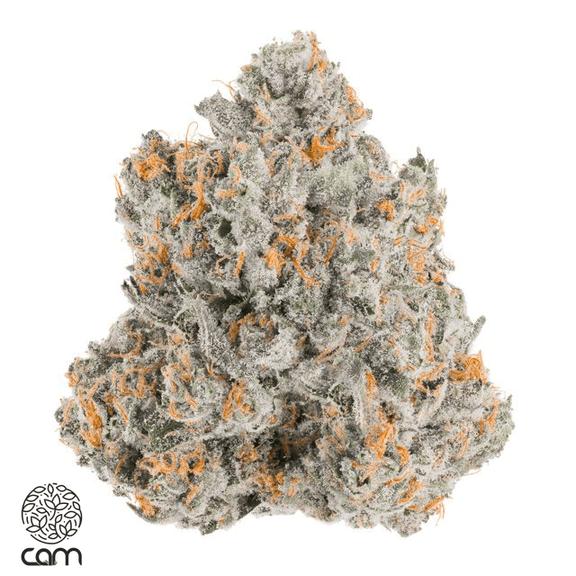 CAM - Gelato Cake Flower 3.5g