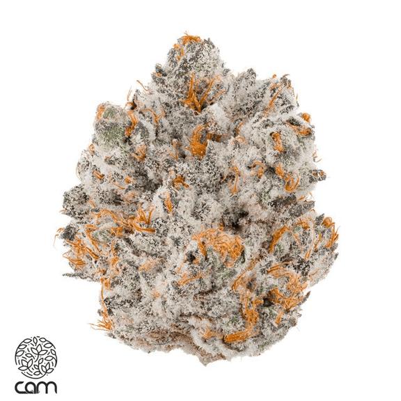 CAM - Oreoz Flower 3.5g