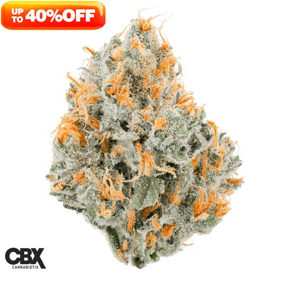 CANNABIOTIX - Super Silver Haze Flower 3.5g