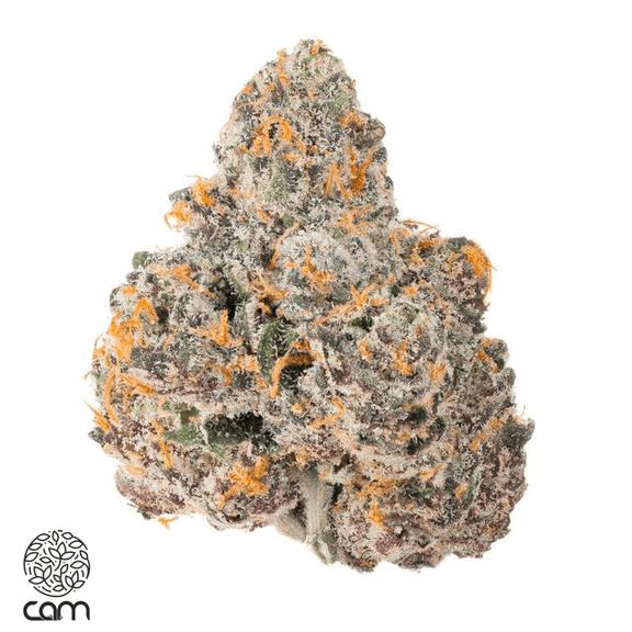 CAM - Sharklotti Flower 3.5g