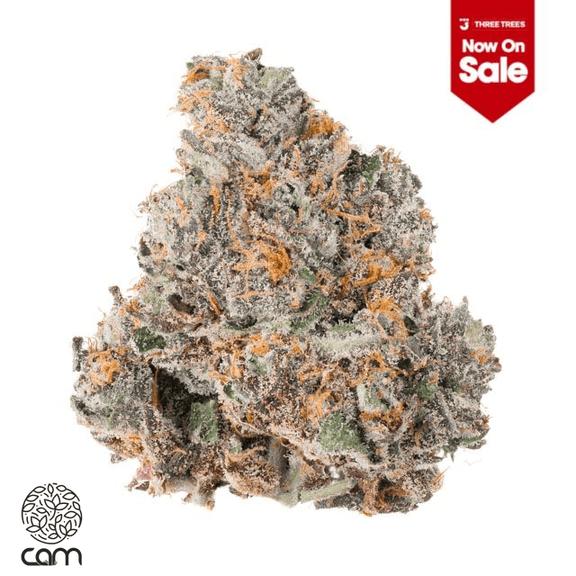 CAM - La Paleta Flower 3.5g