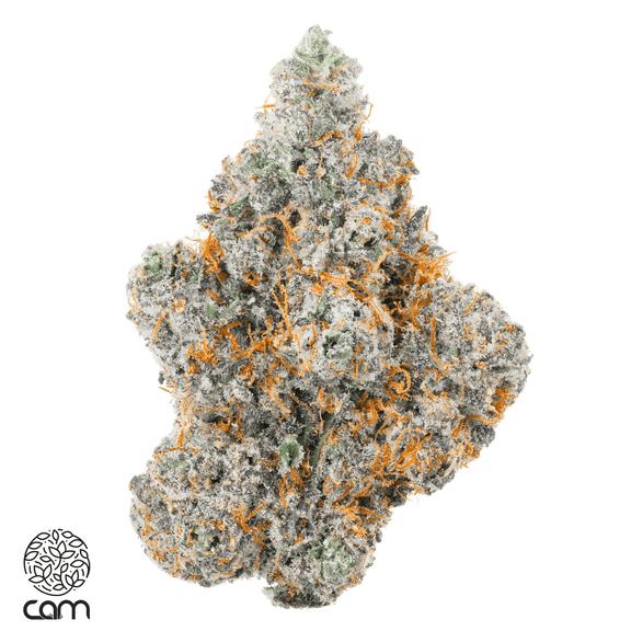 CAM - Camethyst Flower 3.5g