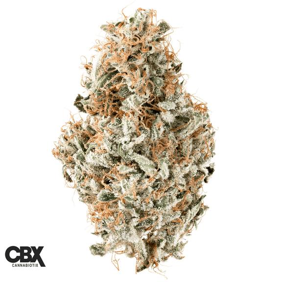 CANNABIOTIX - L'Orange Flower 3.5g