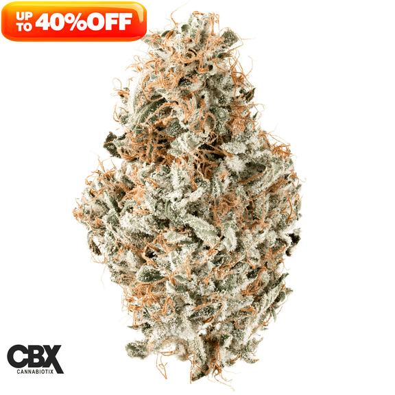 CANNABIOTIX - L'Orange Flower 1g