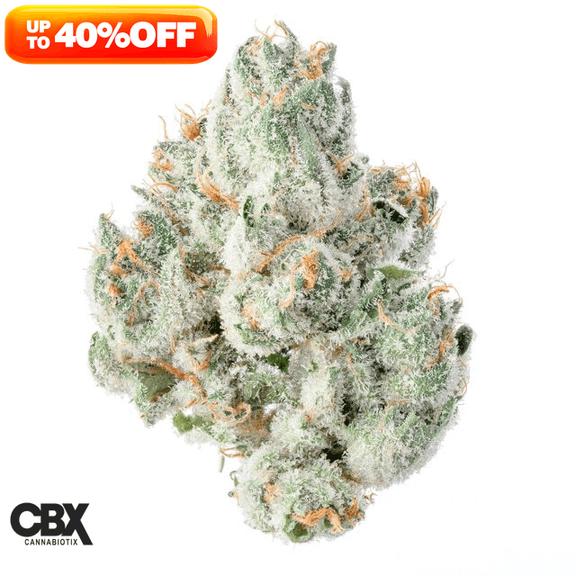 CANNABIOTIX - RPG Rainbow Punch Gelato Flower 3.5g