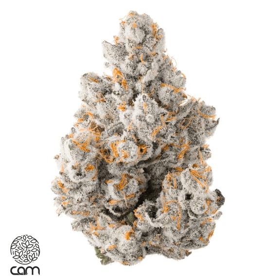 CAM - Face Lift Flower 3.5g