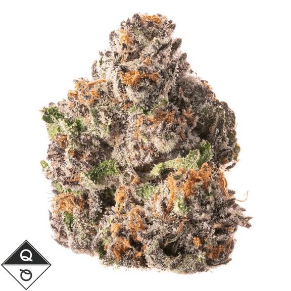 QUALITY OVER QUANTITY - Guava Biscotti Flower 3.5g